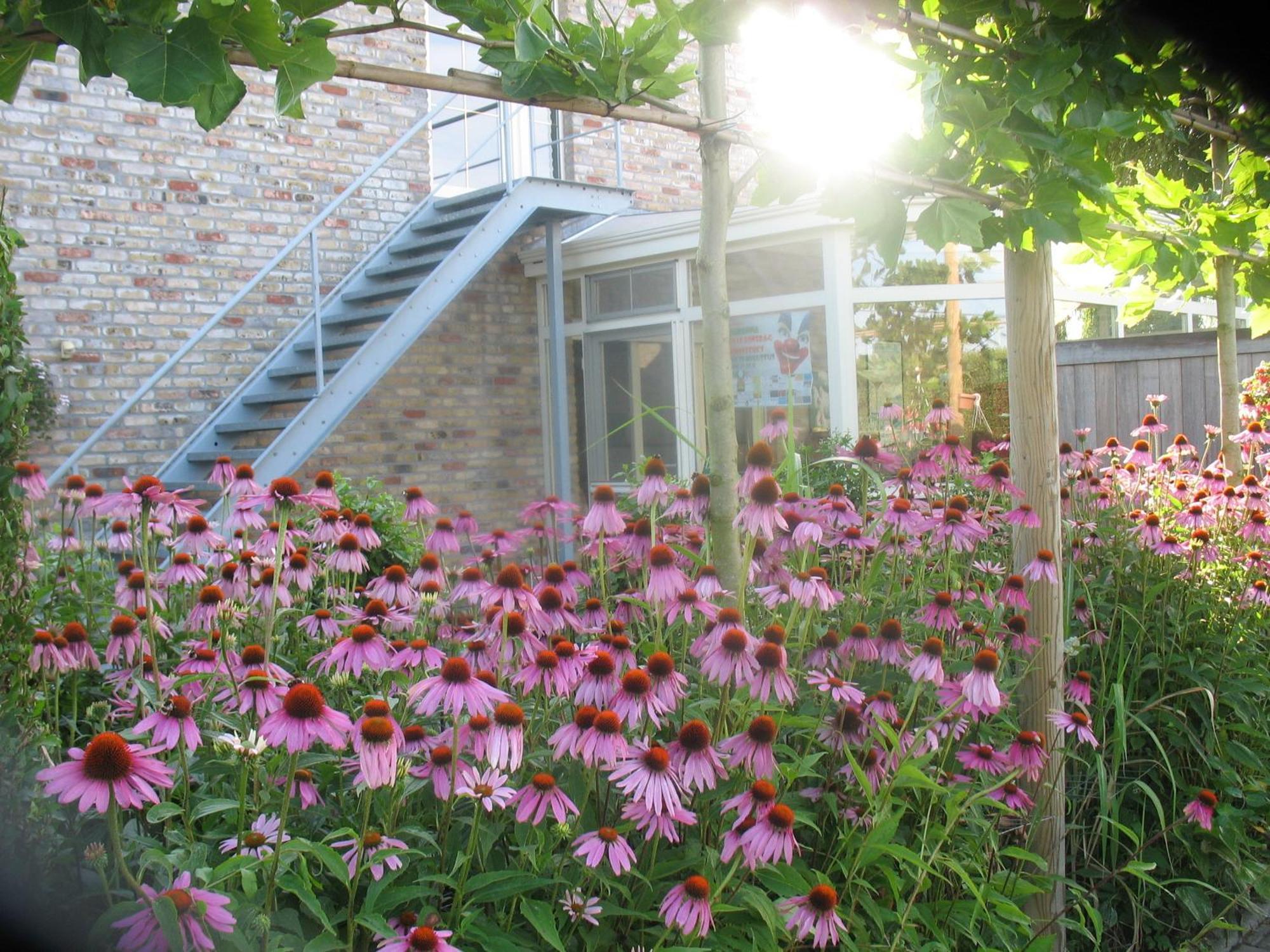 B&B Greenhouse 37 Langemark Kültér fotó