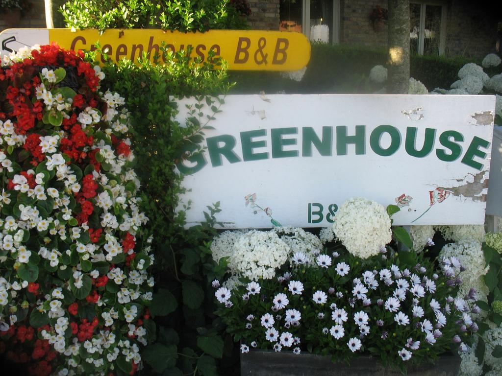 B&B Greenhouse 37 Langemark Kültér fotó