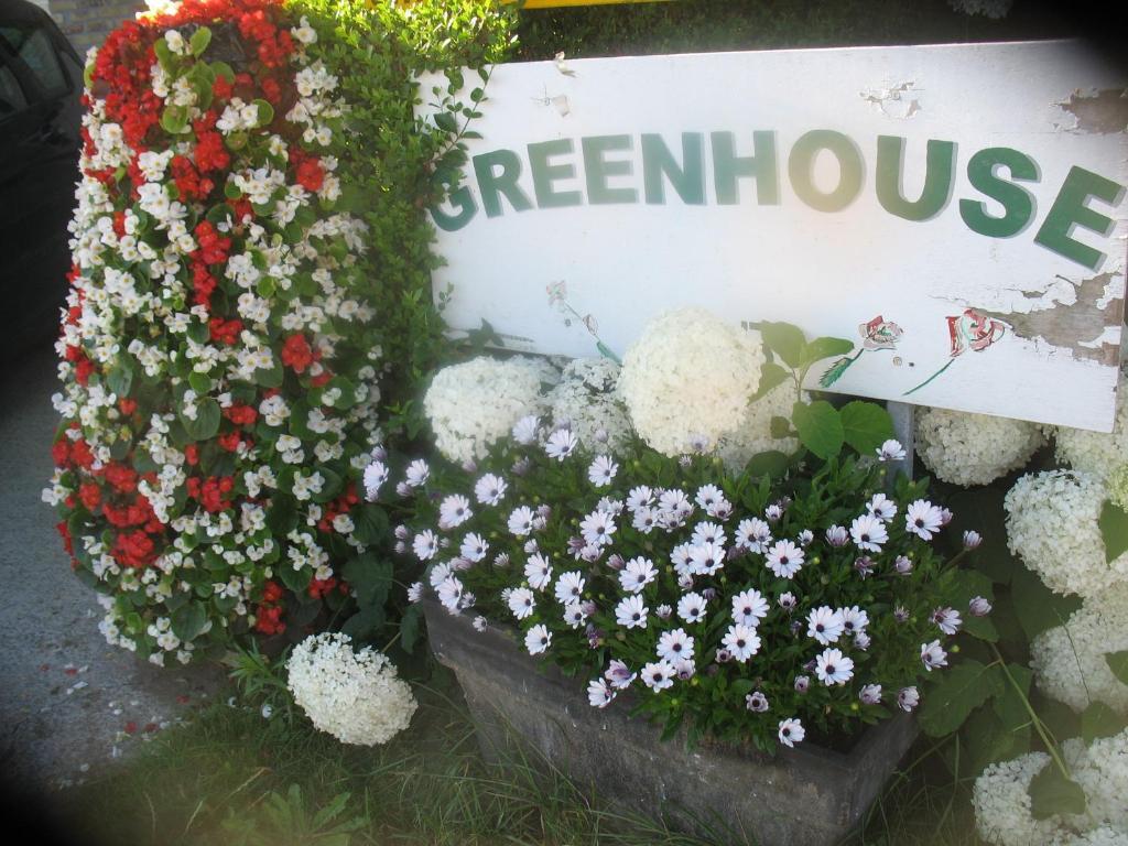 B&B Greenhouse 37 Langemark Kültér fotó